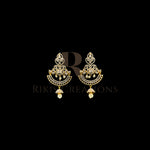 Load image into Gallery viewer, EARRINGS  (EA-116)
